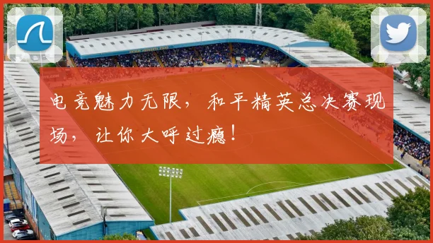 电竞魅力无限,和平精英总决赛现场,让你大呼过瘾!