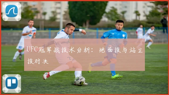 UFC冠军战技术分析:地面技与站立技对决