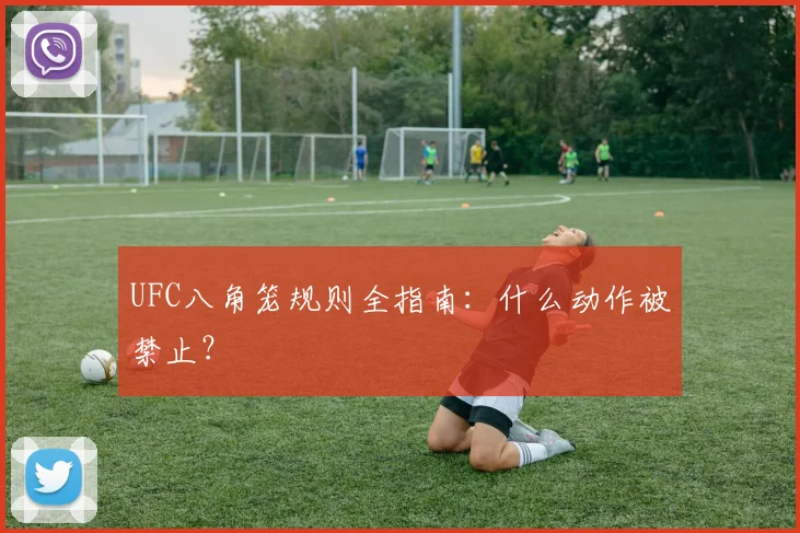 UFC八角笼规则全指南：什么动作被禁止？