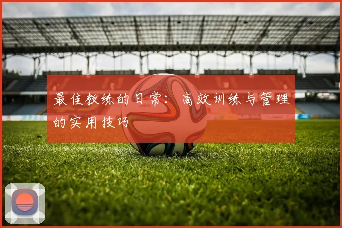 最佳教练的日常:高效训练与管理的实用技巧
