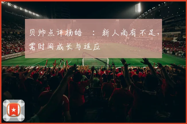 贝帅点评杨皓喆:新人尚有不足,需时间成长与适应