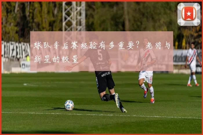球队季后赛经验有多重要?老将与新星的较量