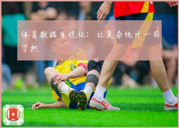 体育数据可视化:让复杂统计一目了然